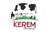 logo_0042_kerem kuru bağırsak