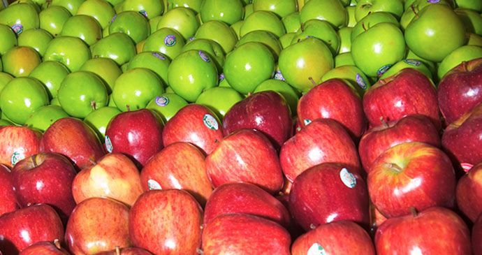 Meyve Sebze Soğuk Hava Deposu Maliyeti