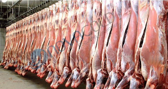 Et Soğuk Hava Deposu İmalatı