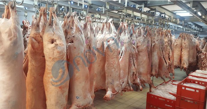 Et Soğuk Hava Deposu İmalatı