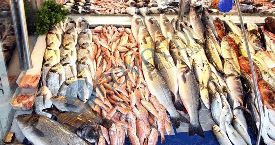 Deniz Ürünleri İçin Soğuk Hava Deposu