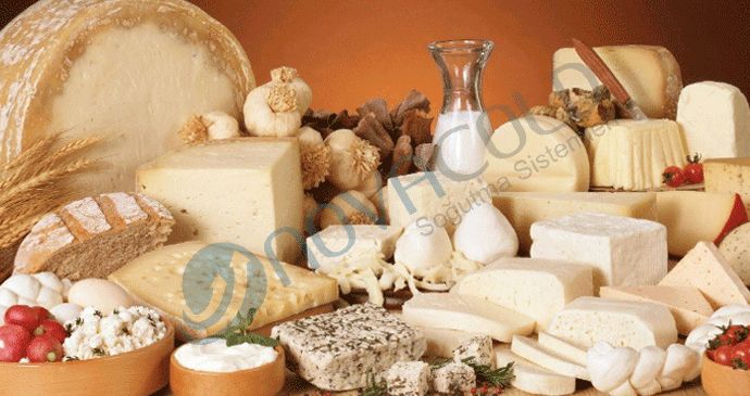 Peynir Soğuk Hava Deposu